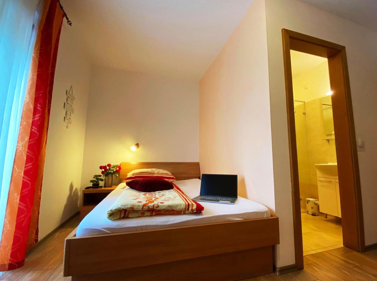 Guesthouse Mesec Zaplana Vrhnika Exteriör bild